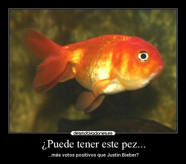 ¿Puede tener este pez... -