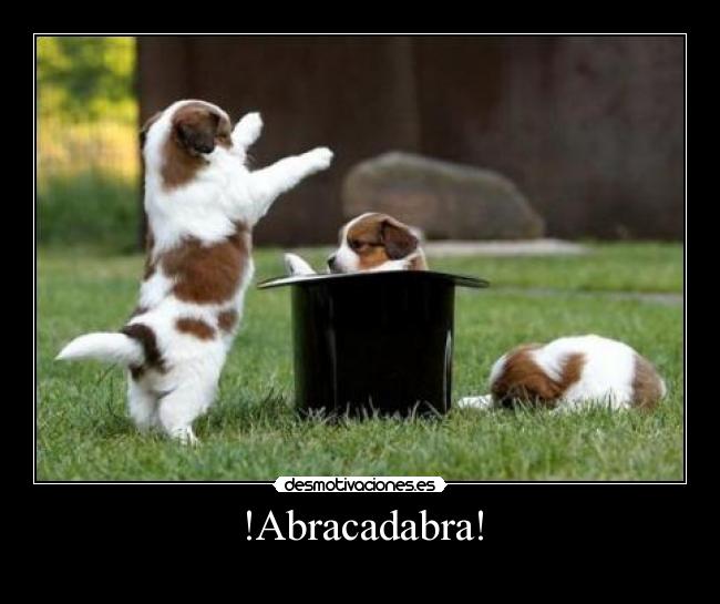 !Abracadabra! - 