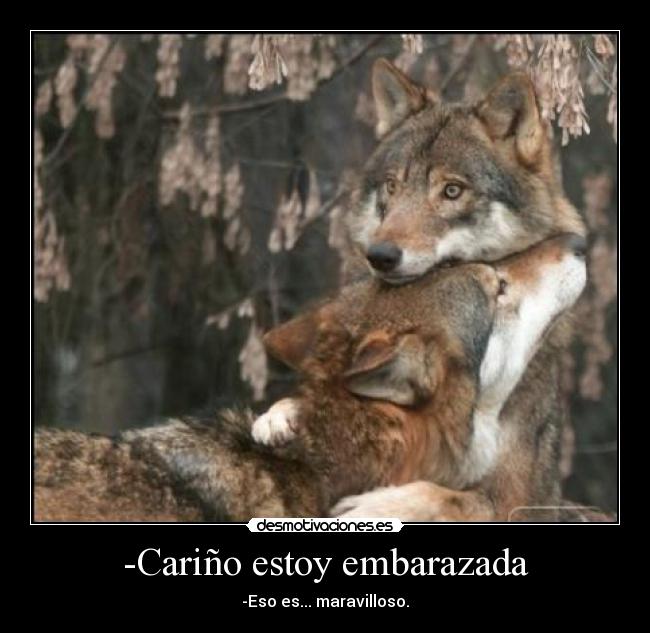 carteles lobos desmotivaciones