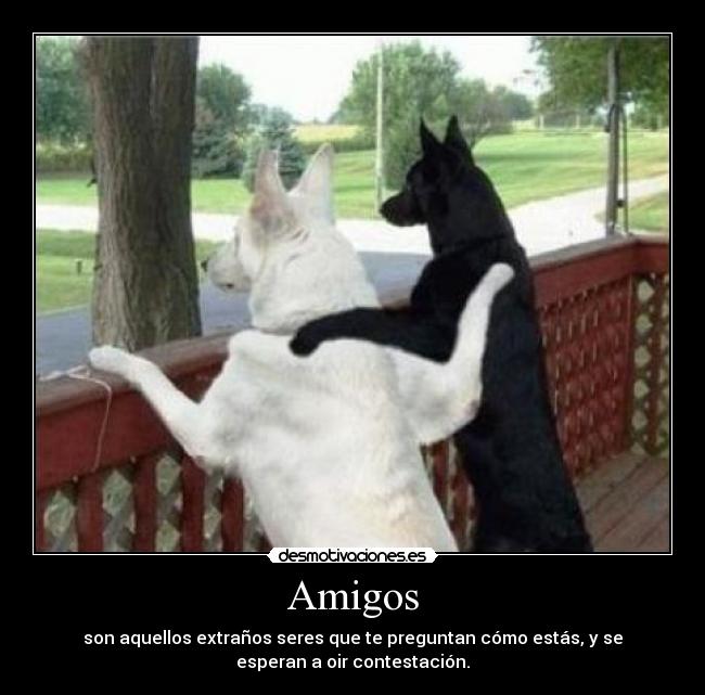 Amigos - 