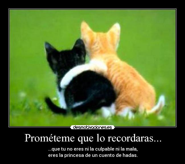 Prométeme que lo recordaras... -