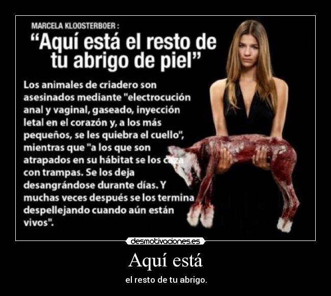 Aquí está - el resto de tu abrigo.