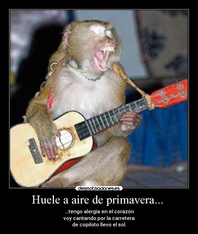 Huele a aire de primavera...  - 