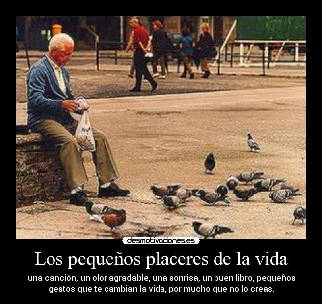 Los pequeños placeres de la vida - una canción, un olor agradable, una sonrisa, un buen libro, pequeños
gestos que te cambian la vida, por mucho que no lo creas.