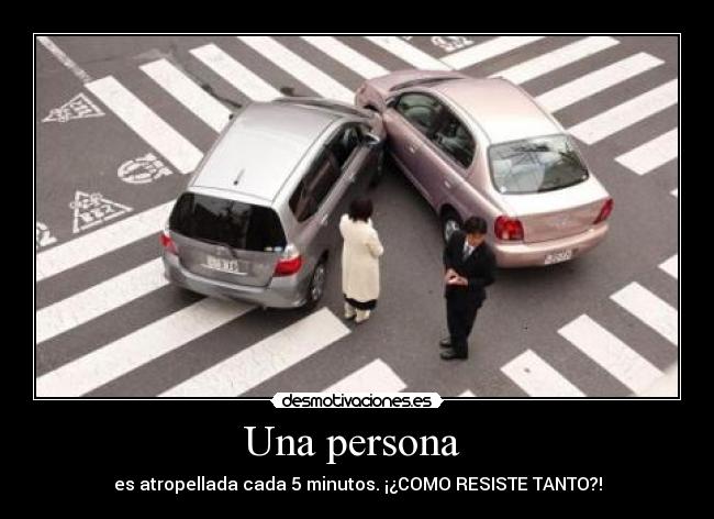 Una persona - es atropellada cada 5 minutos. ¡¿COMO RESISTE TANTO?!