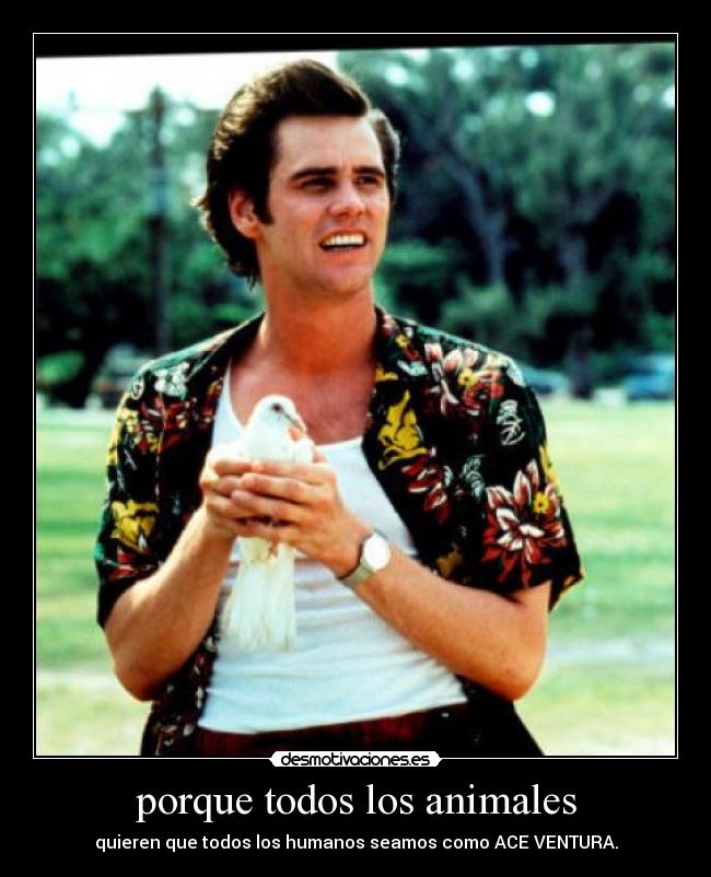 carteles animales cine desmotivaciones