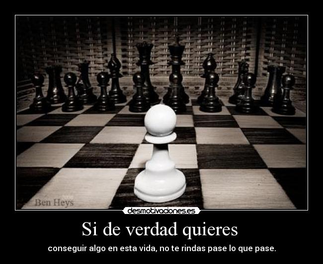 Si de verdad quieres  - 