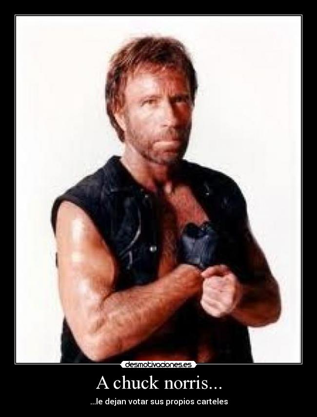 A chuck norris... - ...le dejan votar sus propios carteles