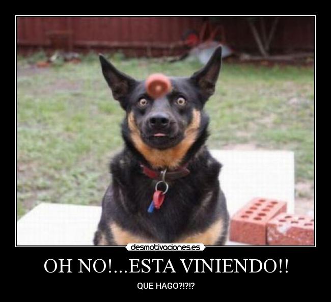 OH NO!...ESTA VINIENDO!! - QUE HAGO?!?!?