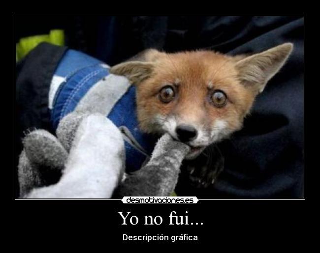 Yo no fui... - 