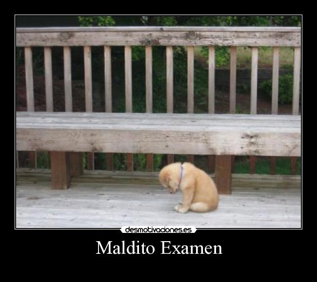 Maldito Examen -