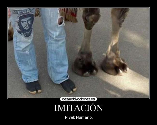 IMITACIÓN -