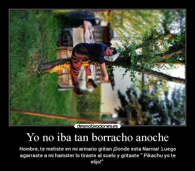 Yo no iba tan borracho anoche - Hombre, te metiste en mi armario gritan ¡Donde esta Narnia! .Luego
agarraste a mi hamster lo tiraste al suelo y gritaste Pikachu yo te
elijo!