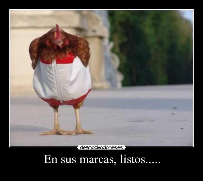 En sus marcas, listos..... -