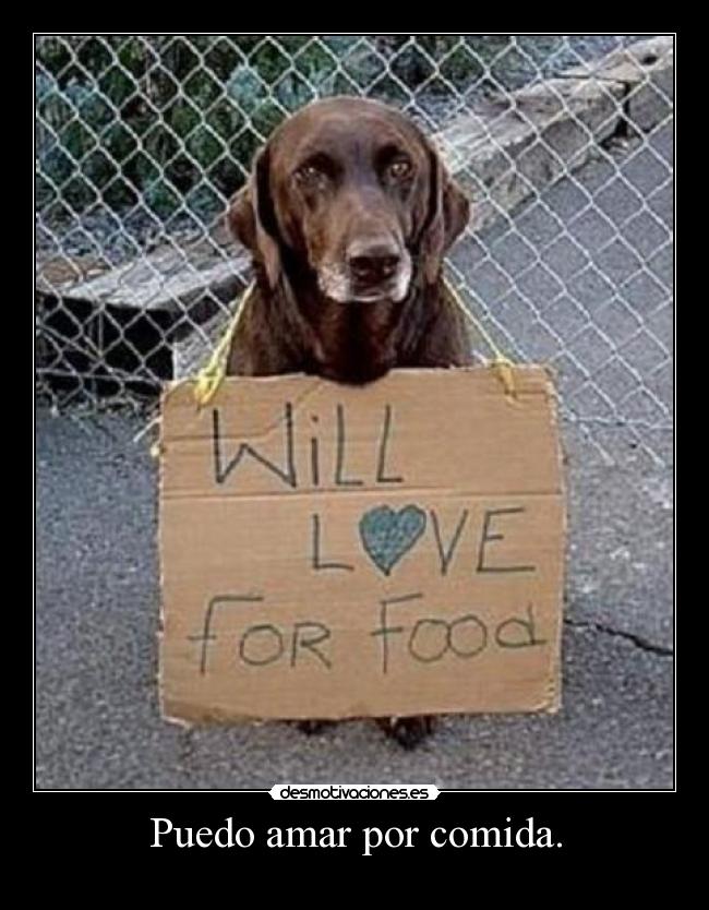 Puedo amar por comida. - 