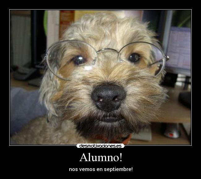 Alumno! -