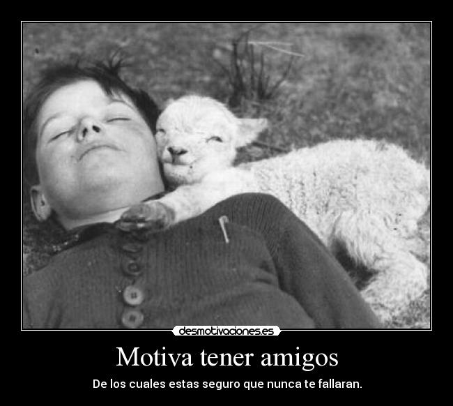Motiva tener amigos - 