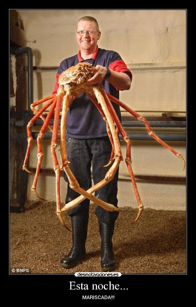 Esta noche... - MARISCADA!!!