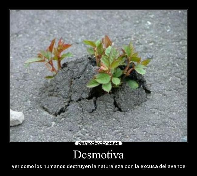 Desmotiva - 