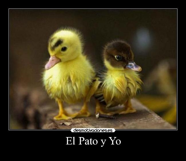 El Pato y Yo -