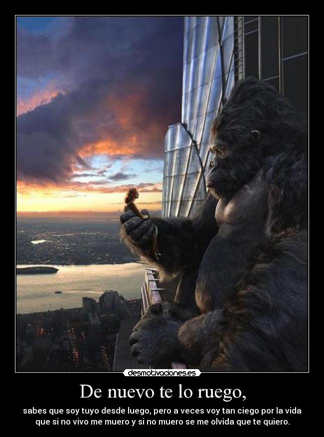 De nuevo te lo ruego, -