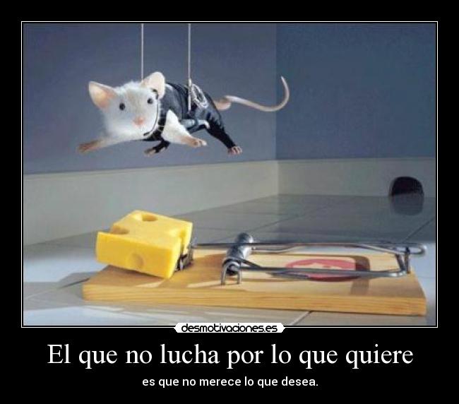 carteles riesgo desmotivaciones