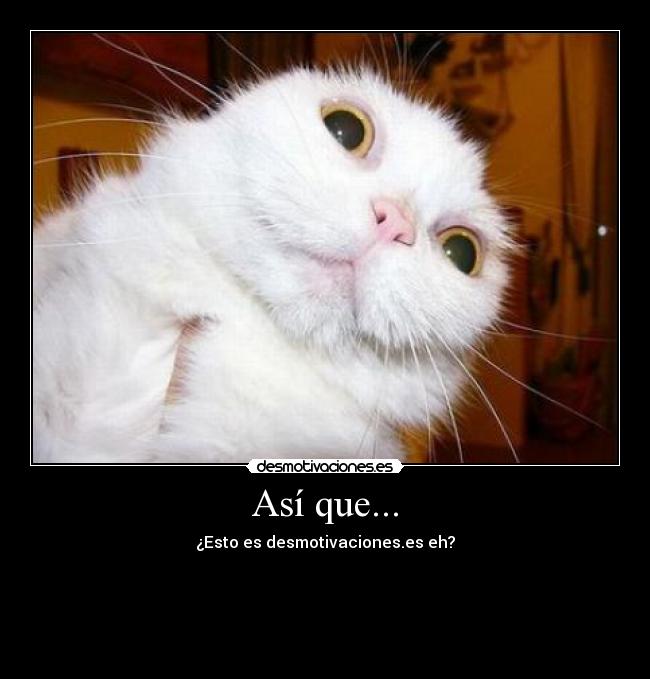 Así que... - ¿Esto es desmotivaciones.es eh?
