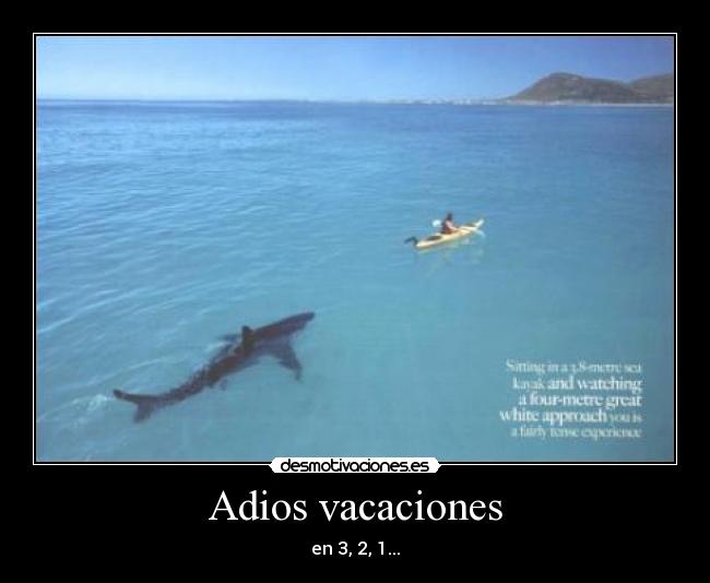 Adios vacaciones - 