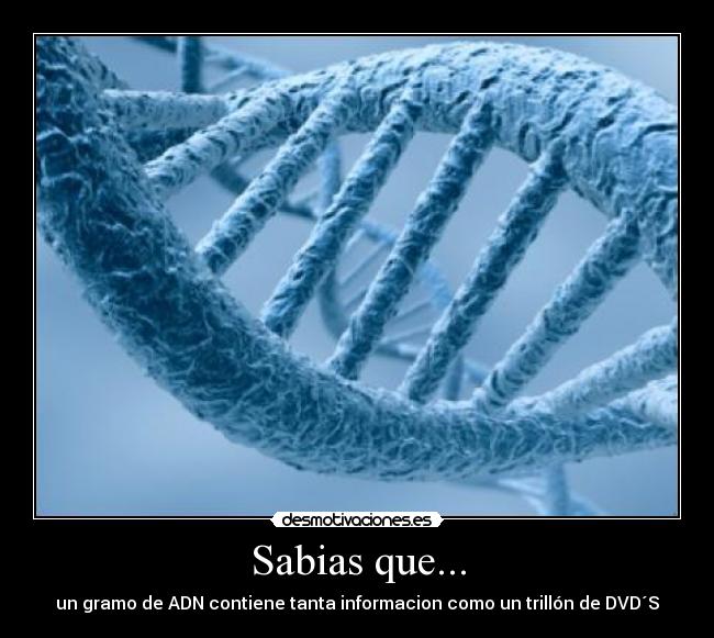 Sabias que... - un gramo de ADN contiene tanta informacion como un trillón de DVD´S