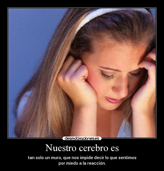 Nuestro cerebro es - 