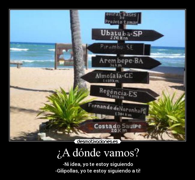 ¿A dónde vamos? -