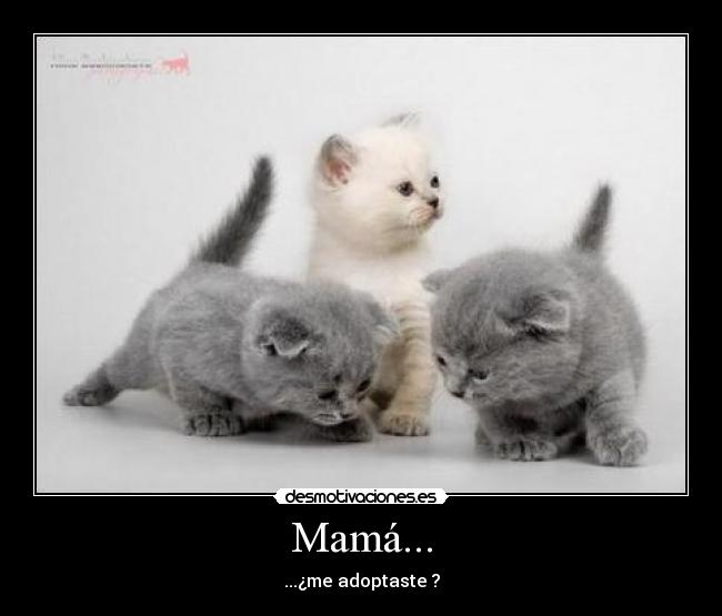 Mamá... - ...¿me adoptaste ?