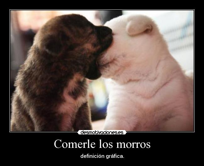 Comerle los morros - 