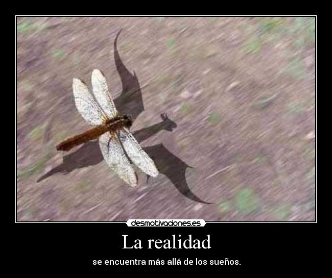 La realidad - se encuentra más allá de los sueños.