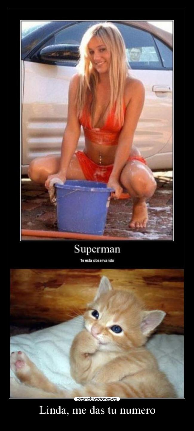 Linda, me das tu numero -