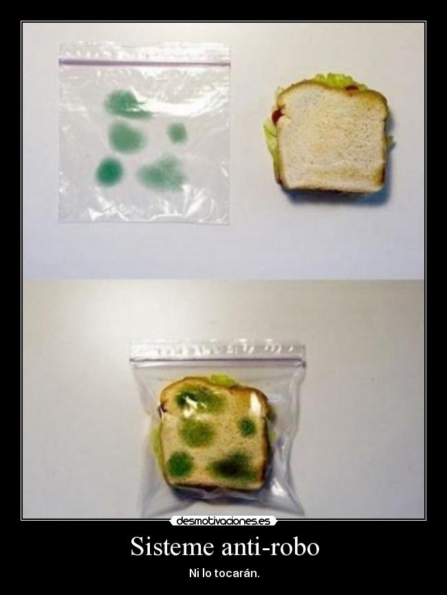 Sisteme anti-robo - Ni lo tocarán.