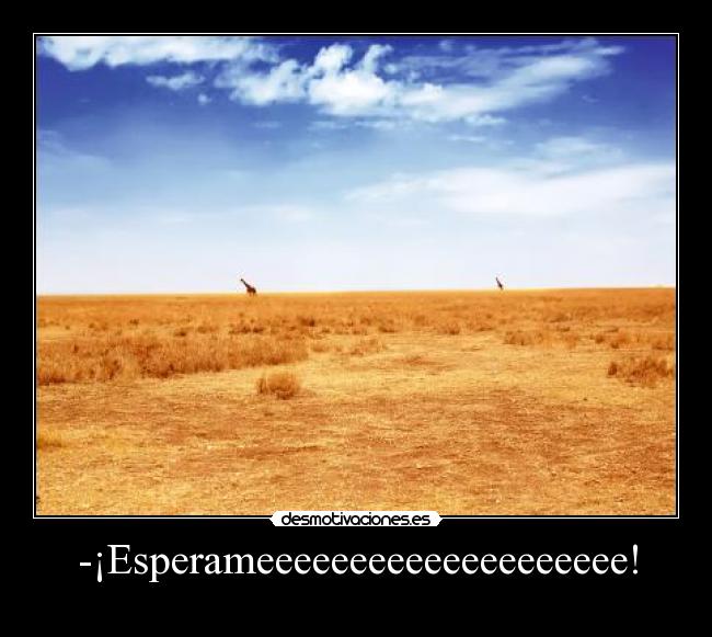 -¡Esperameeeeeeeeeeeeeeeeeeee! - 