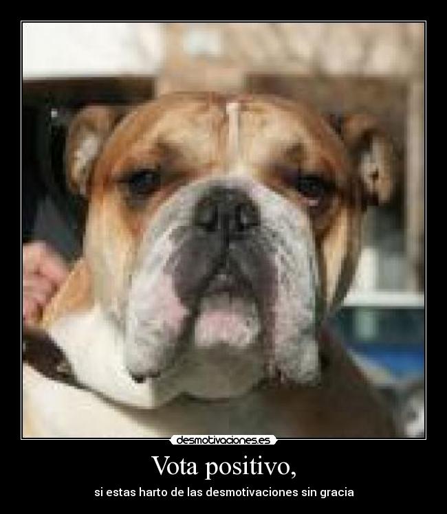 Vota positivo, - si estas harto de las desmotivaciones sin gracia
