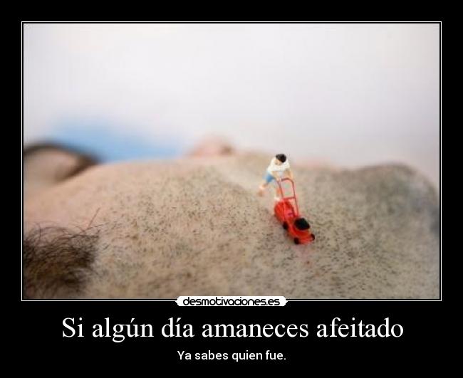 Si algún día amaneces afeitado -