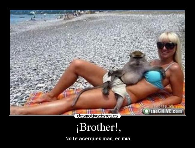 ¡Brother!, -