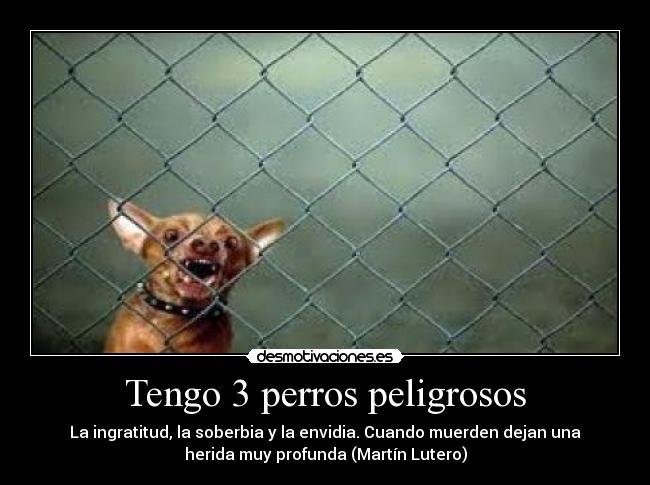 Tengo 3 perros peligrosos - 