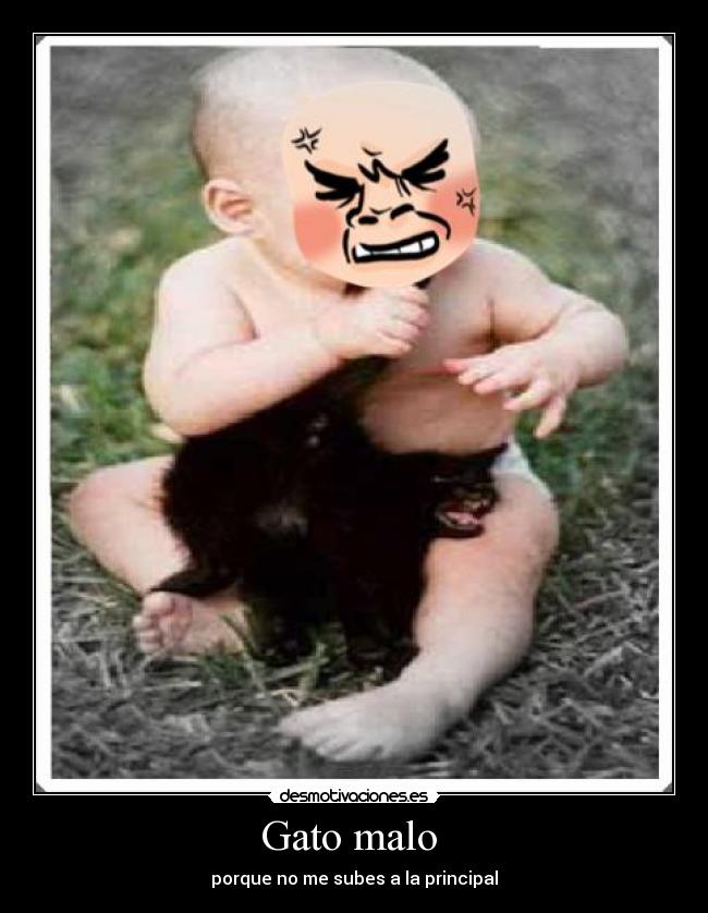 Gato malo - porque no me subes a la principal