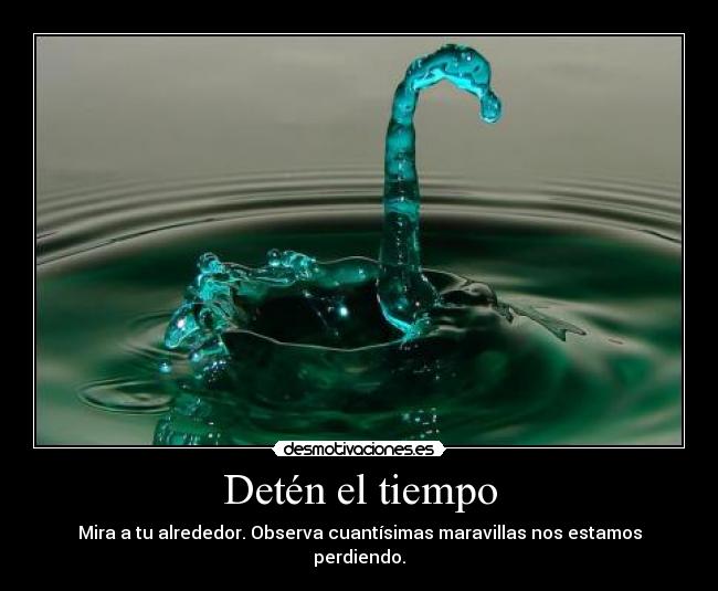 Detén el tiempo - Mira a tu alrededor. Observa cuantísimas maravillas nos estamos perdiendo.