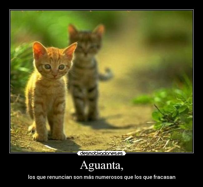 carteles valor desmotivaciones