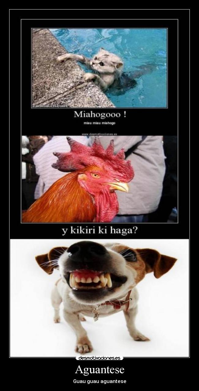 Aguantese - Guau guau aguantese