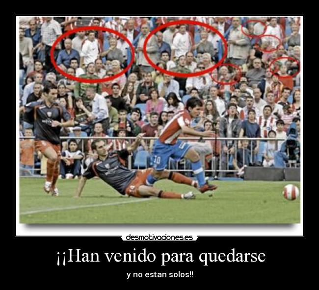 ¡¡Han venido para quedarse - 