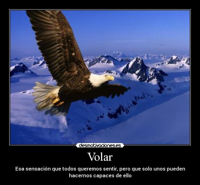 Volar - Esa sensación que todos queremos sentir, pero que solo unos pueden
hacernos capaces de ello