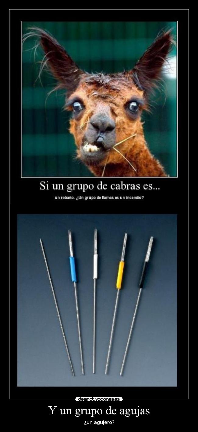 Y un grupo de agujas - 