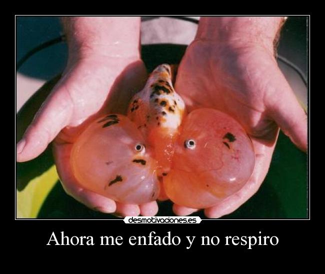Ahora me enfado y no respiro - 