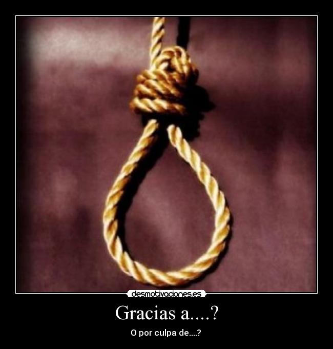 Gracias a....? - 